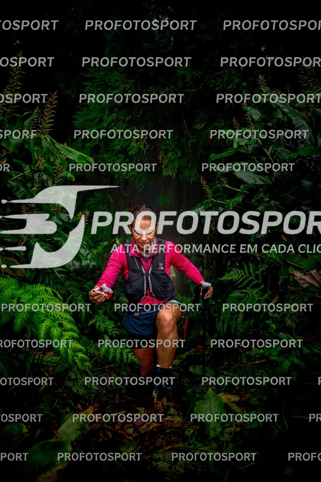 Preview 12