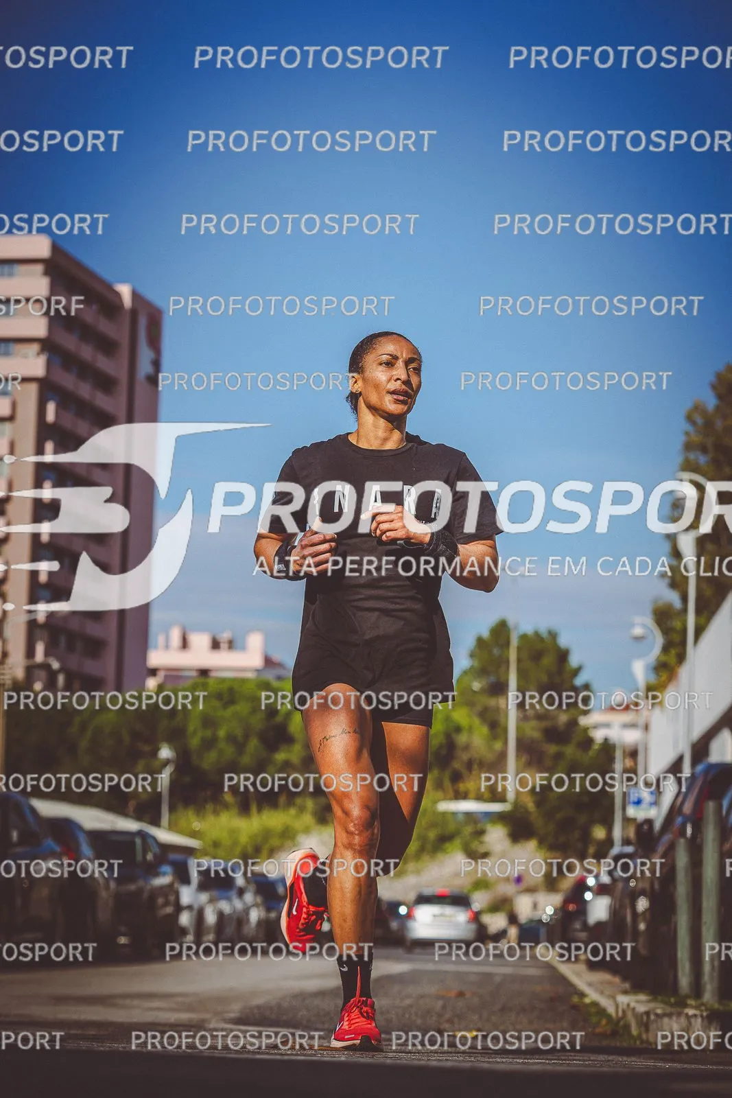 Preview 13