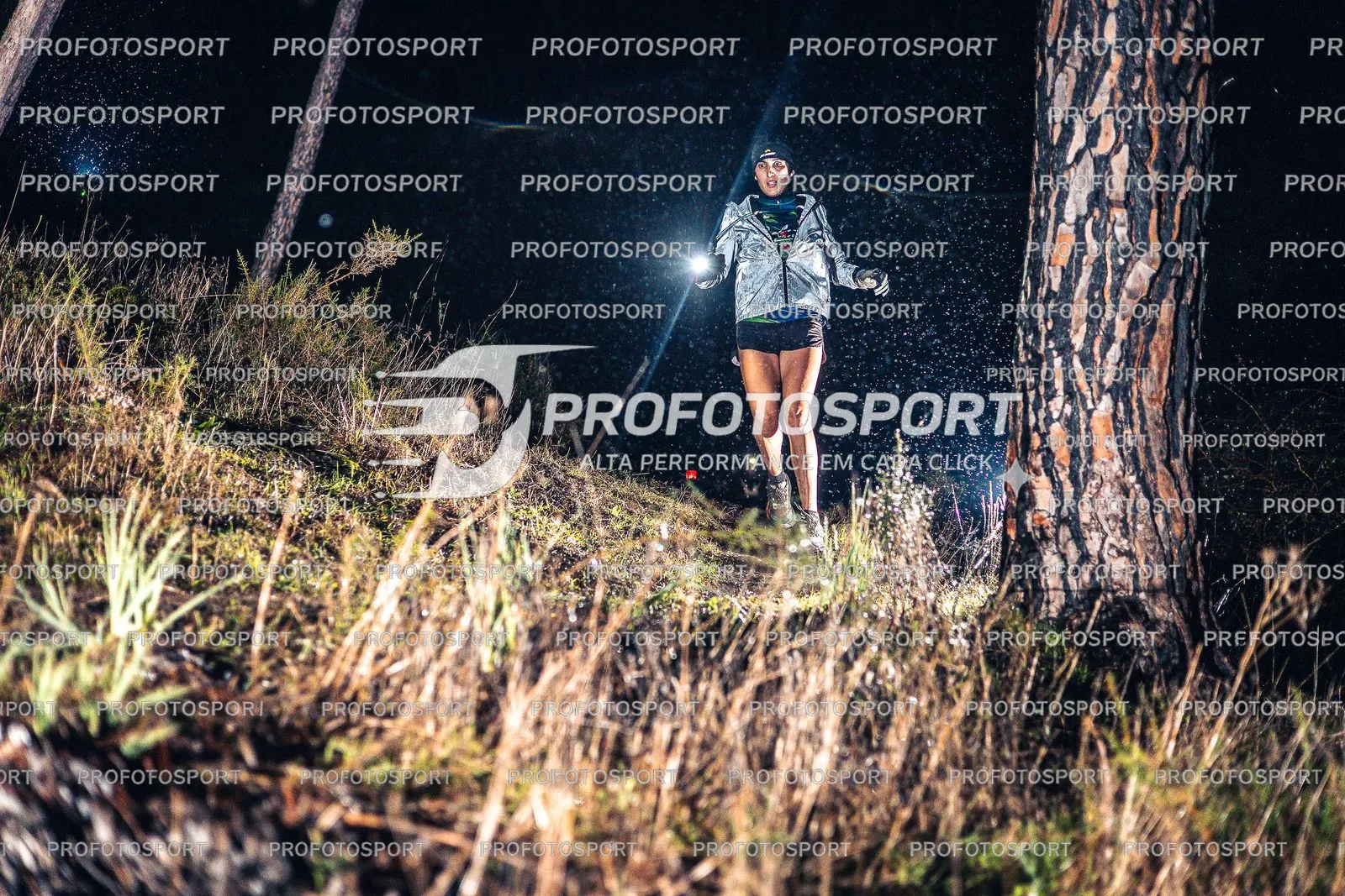 Preview 22