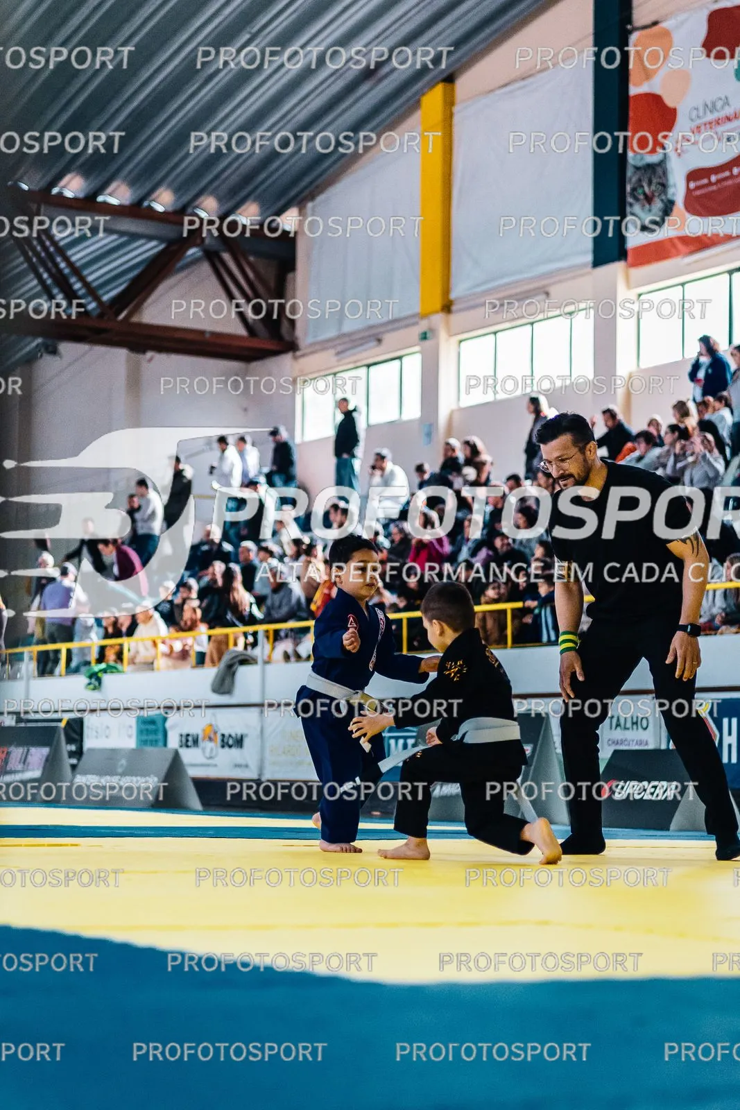 Preview 6