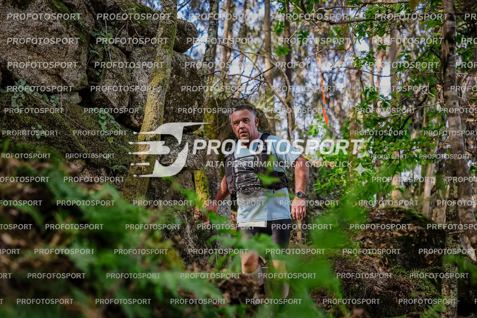 Preview 5