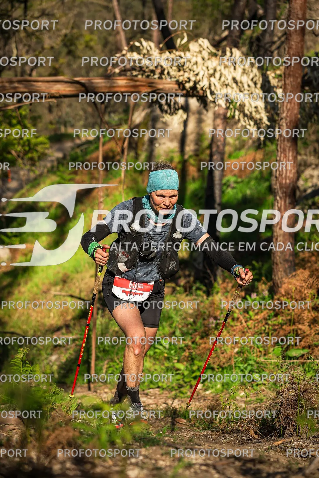 Preview 37