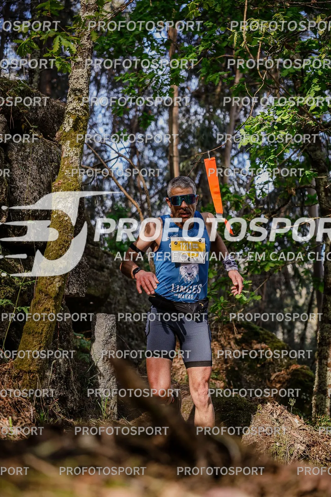 Preview 26