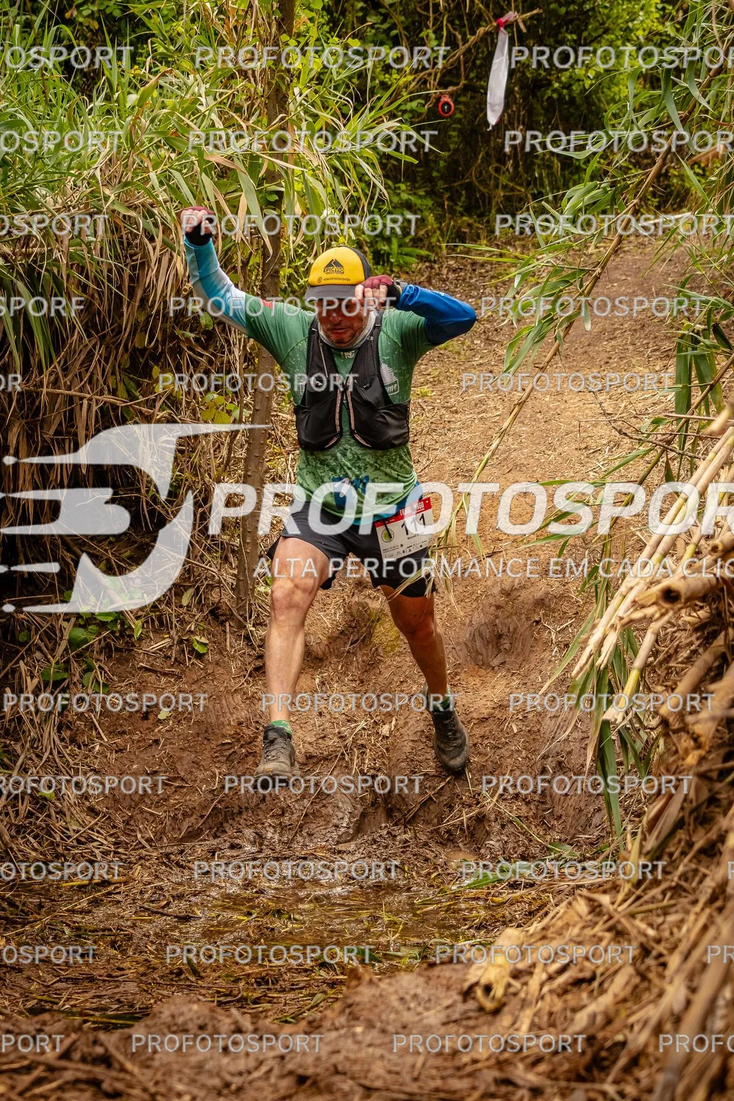 Preview 6