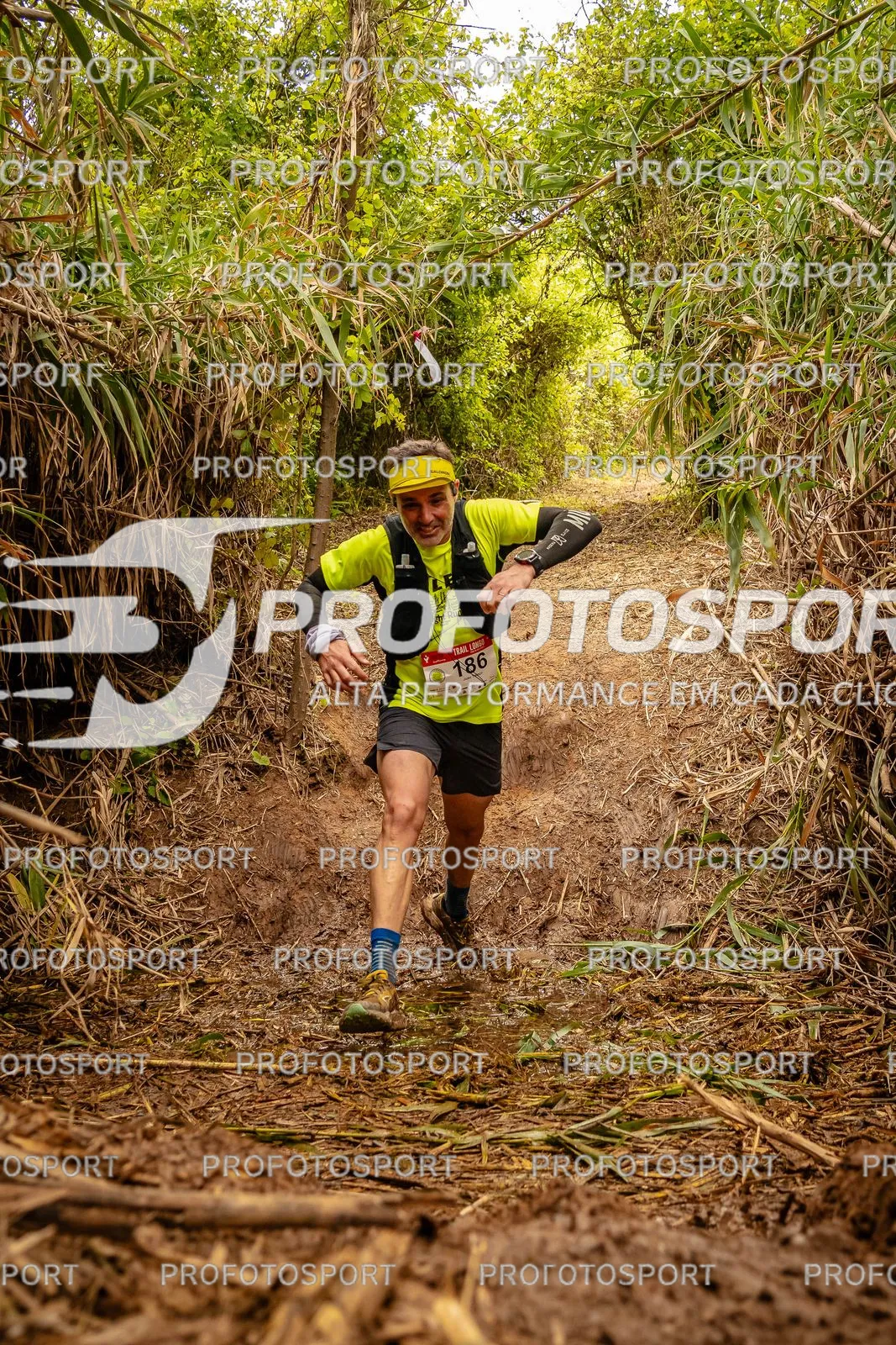 Preview 36
