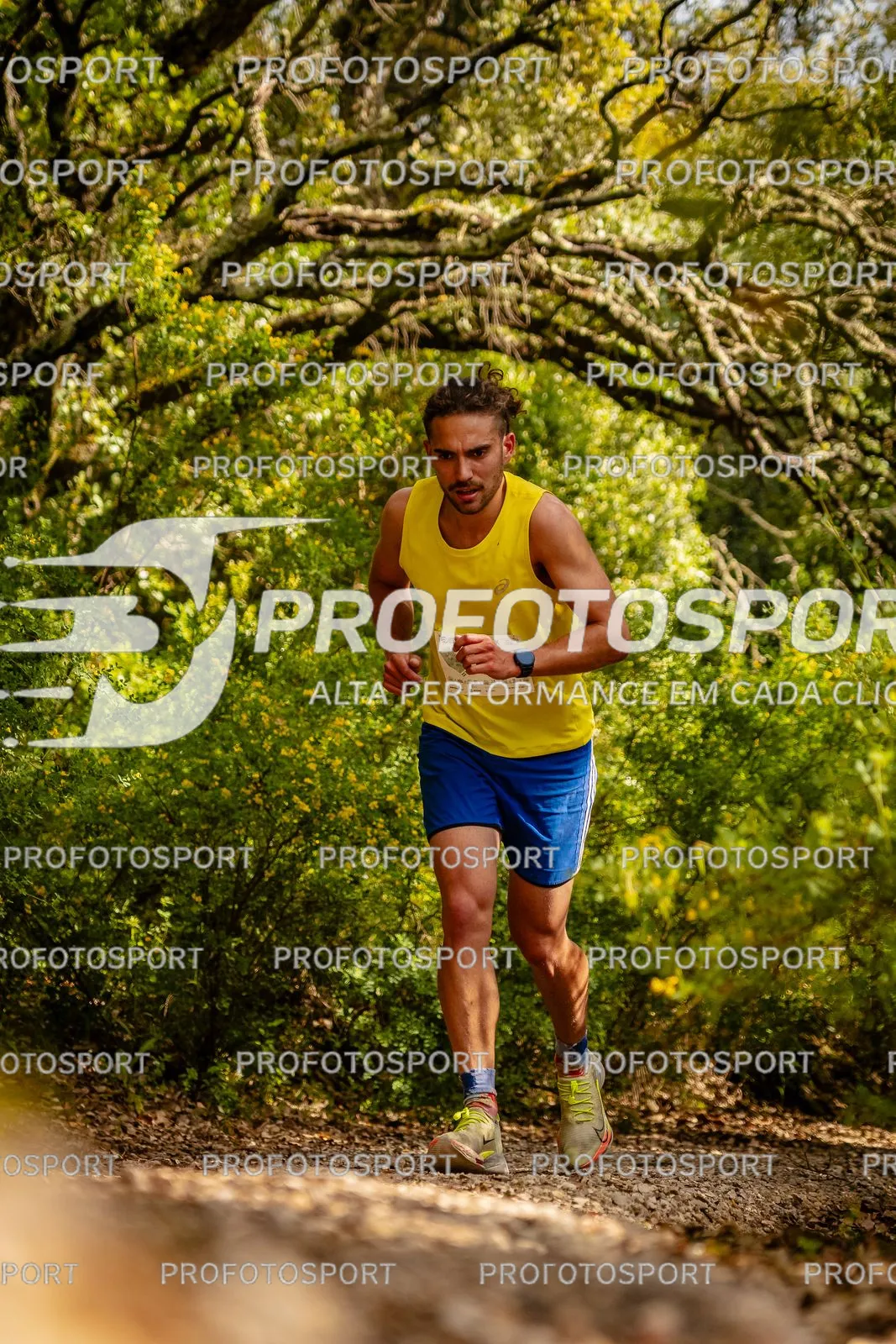 Preview 38