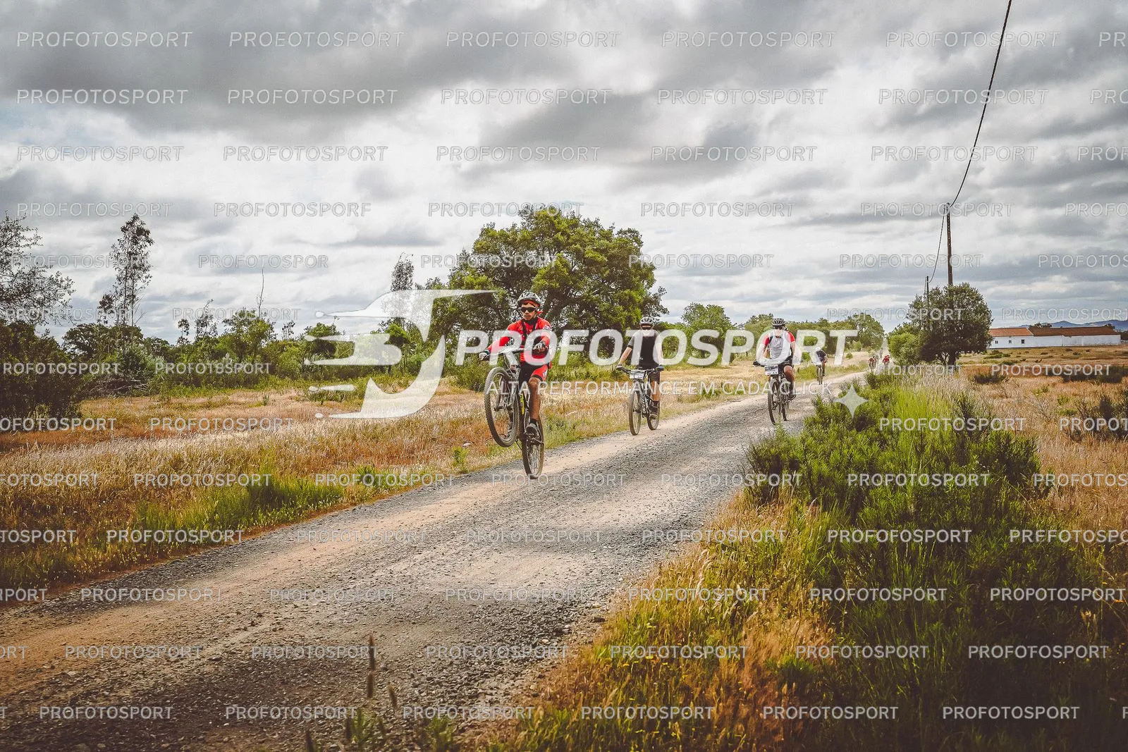 Preview 4