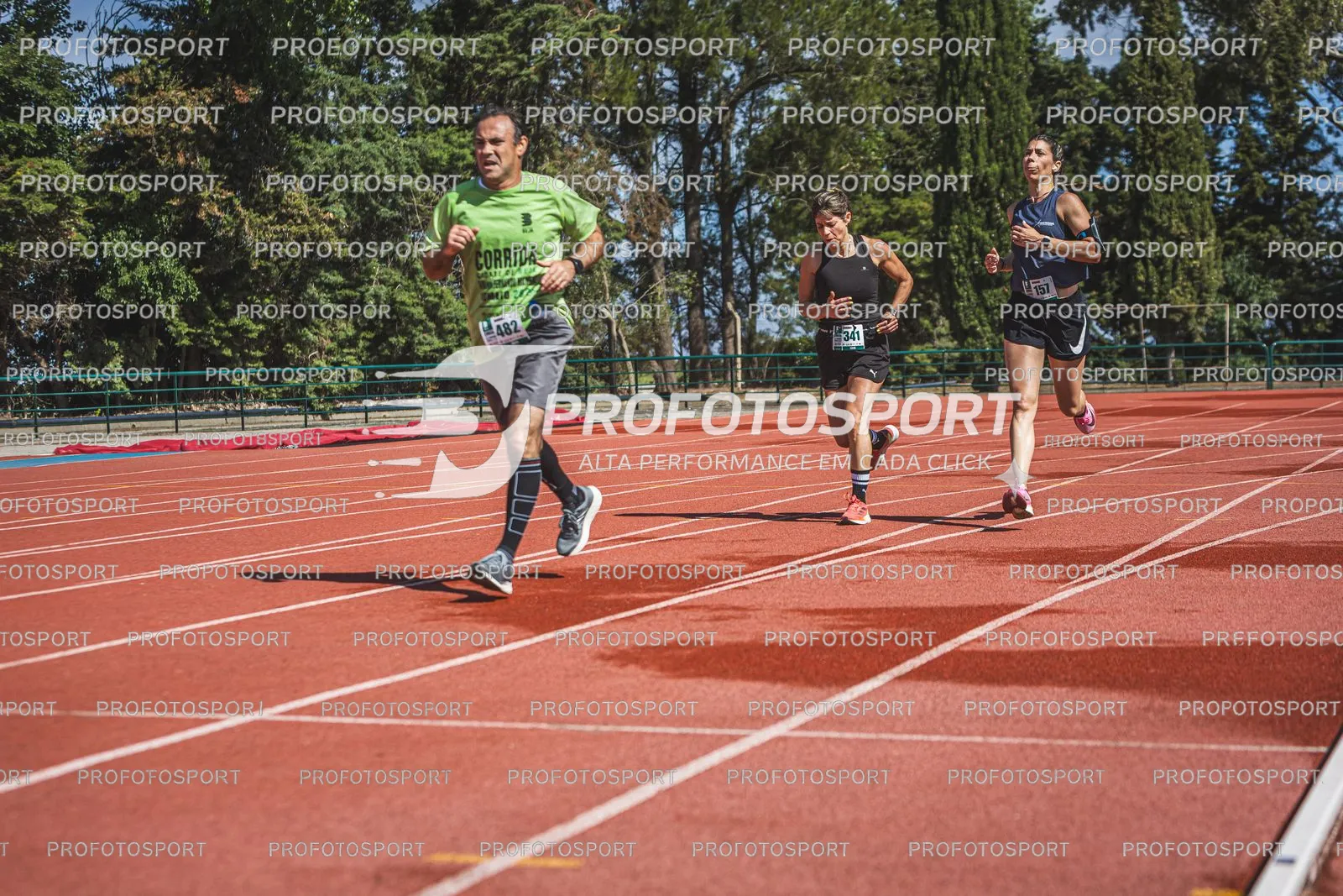 Preview 11