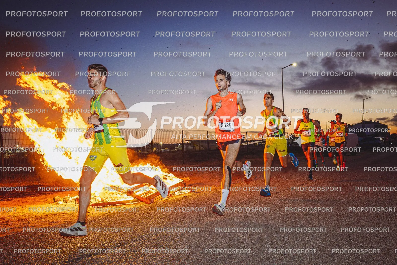 Preview 7