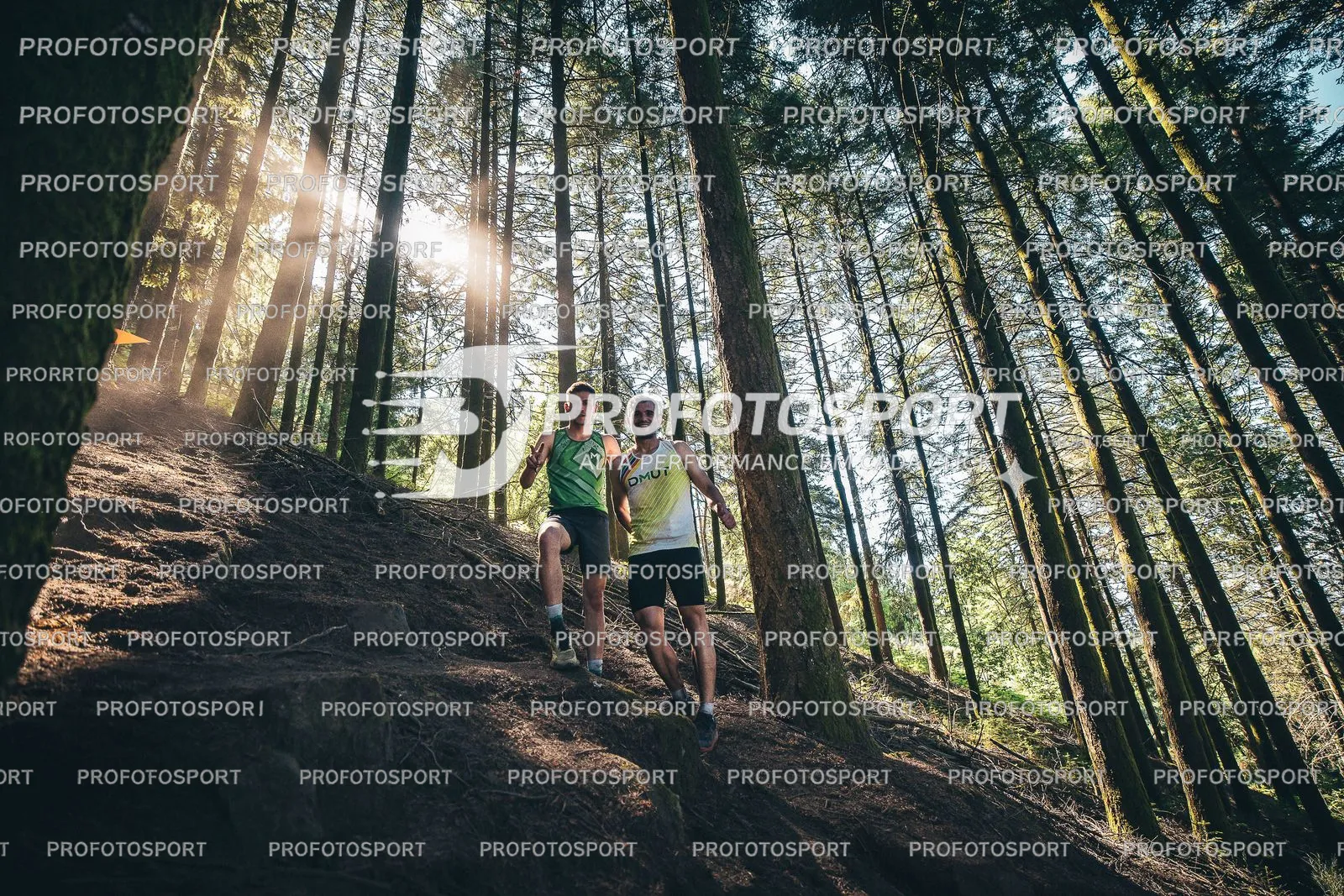 Preview 3