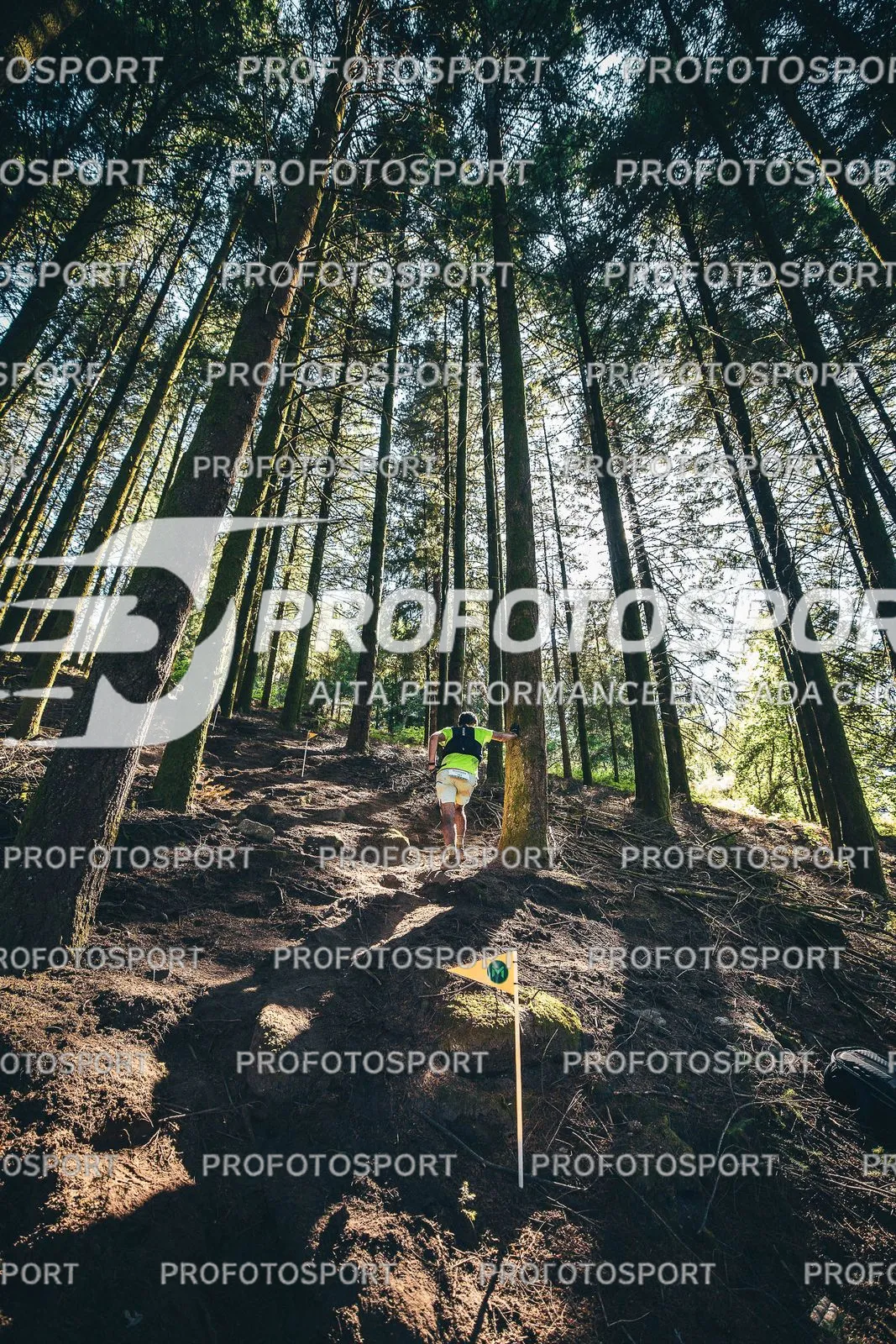 Preview 14