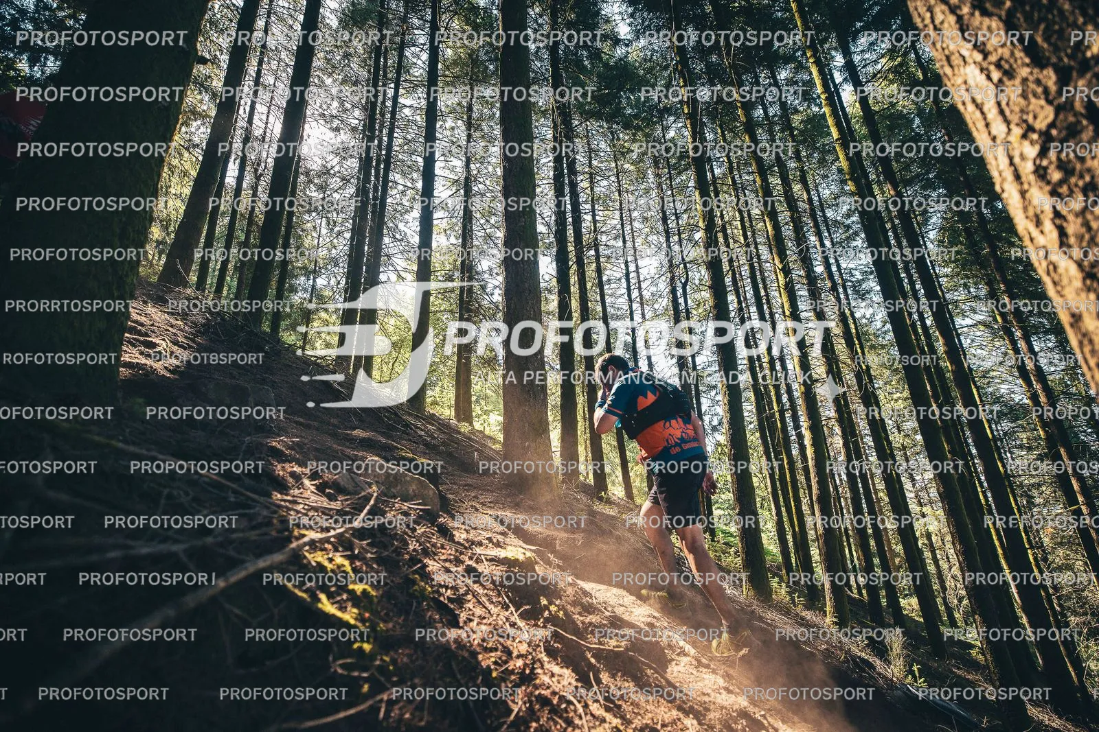 Preview 12