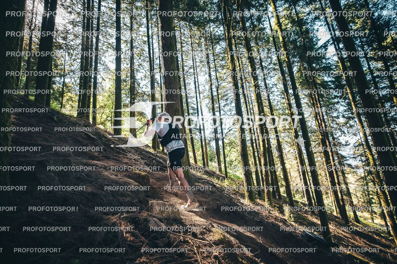 Preview 7