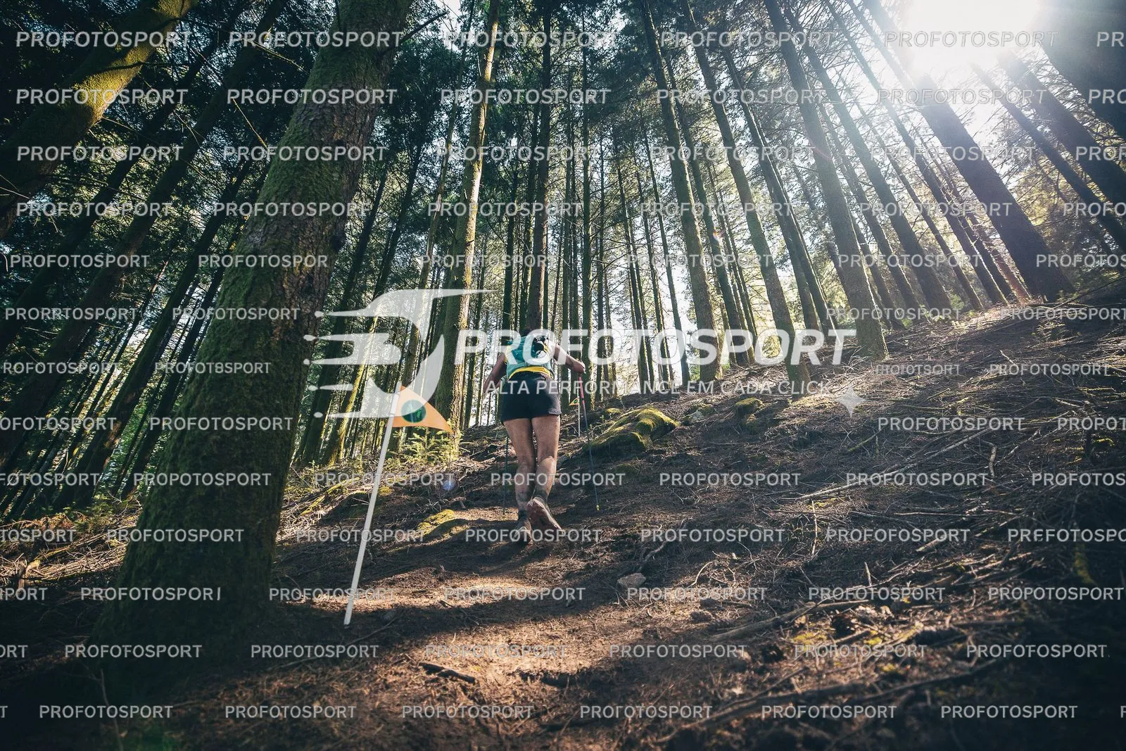 Preview 20