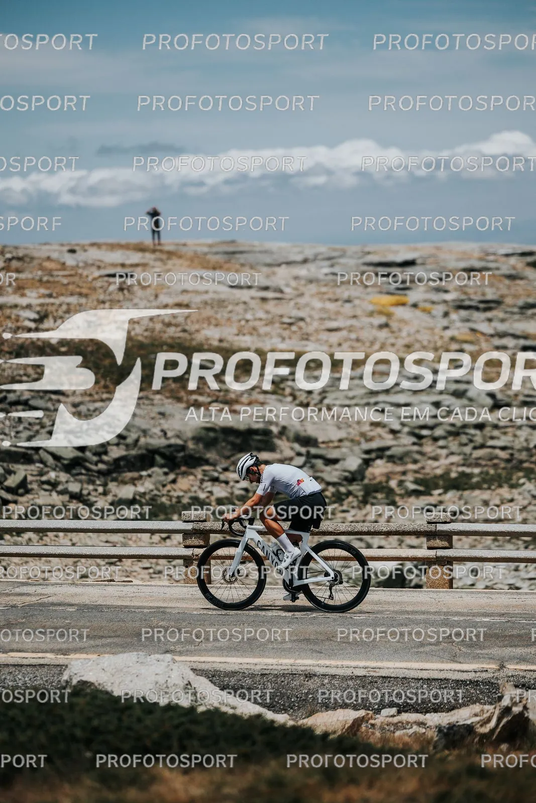 Preview 37
