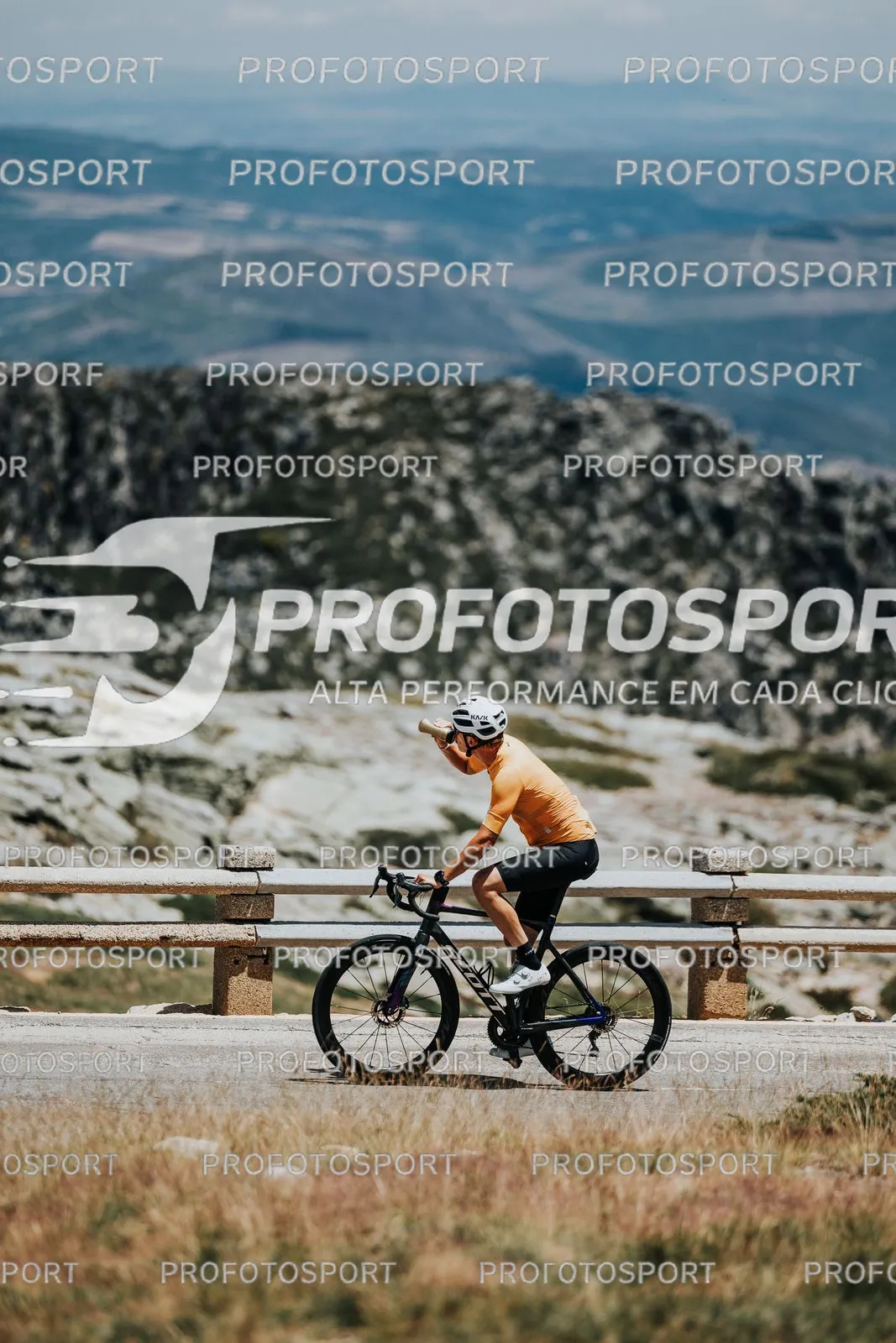 Preview 34