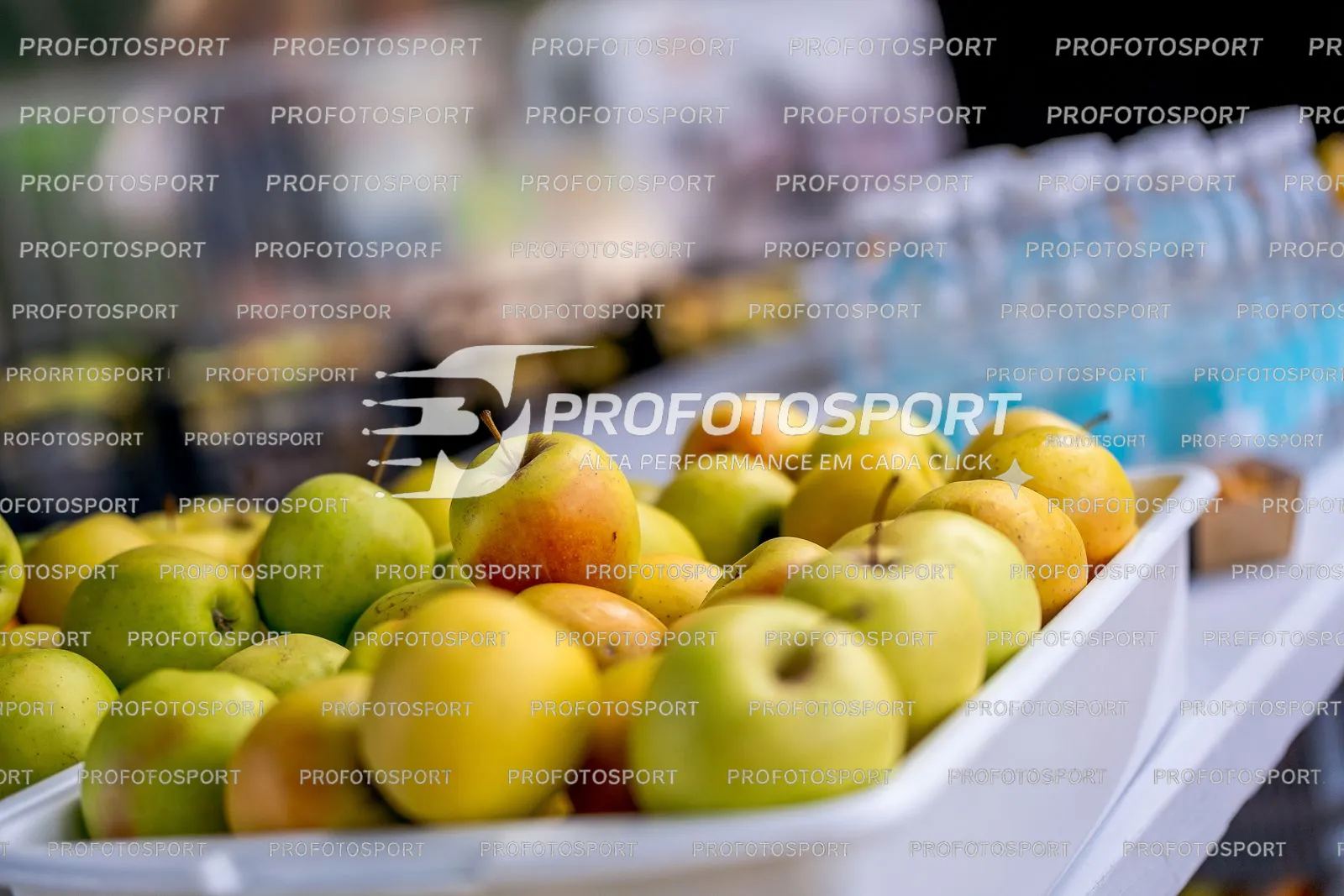 Preview 12