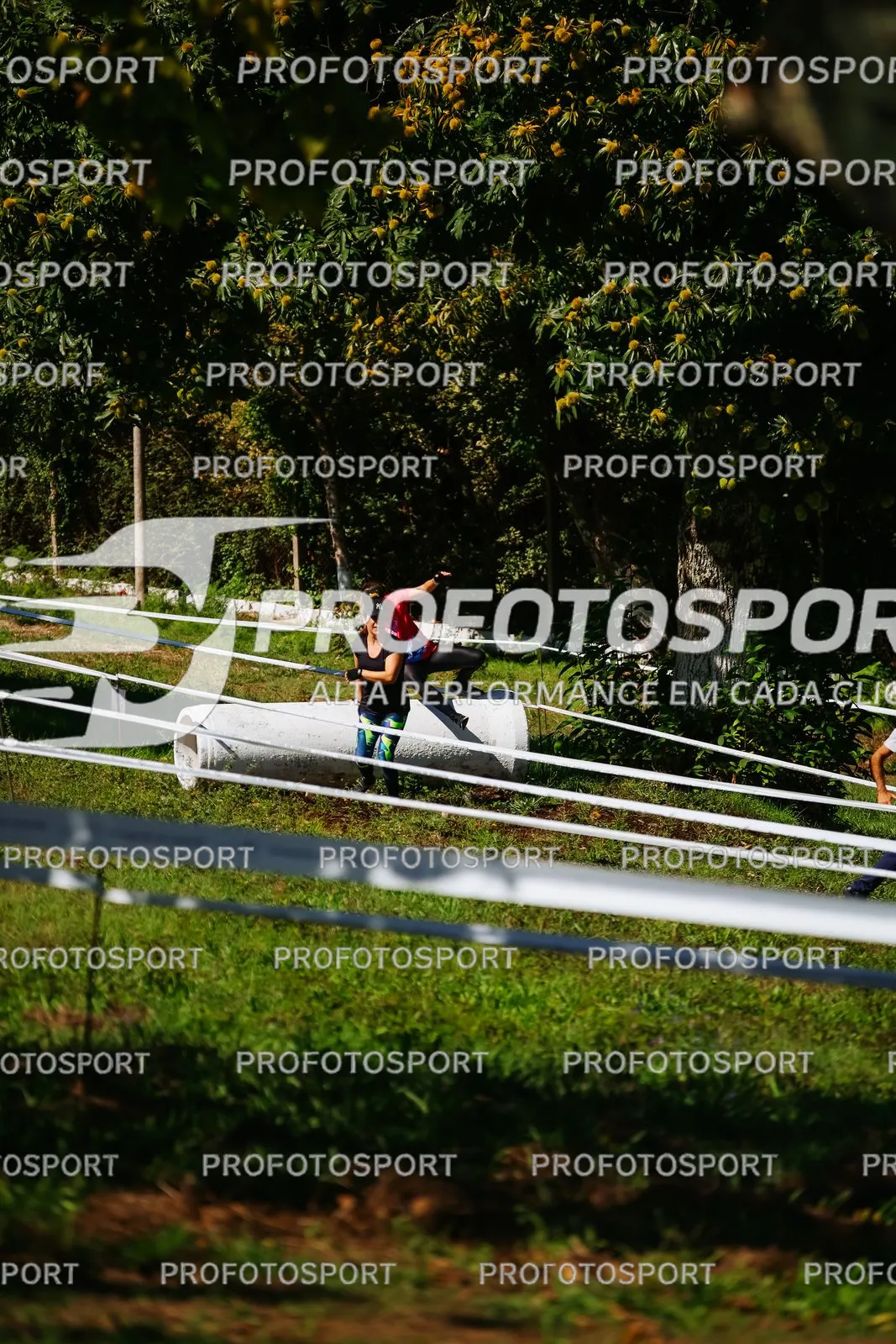 Preview 27