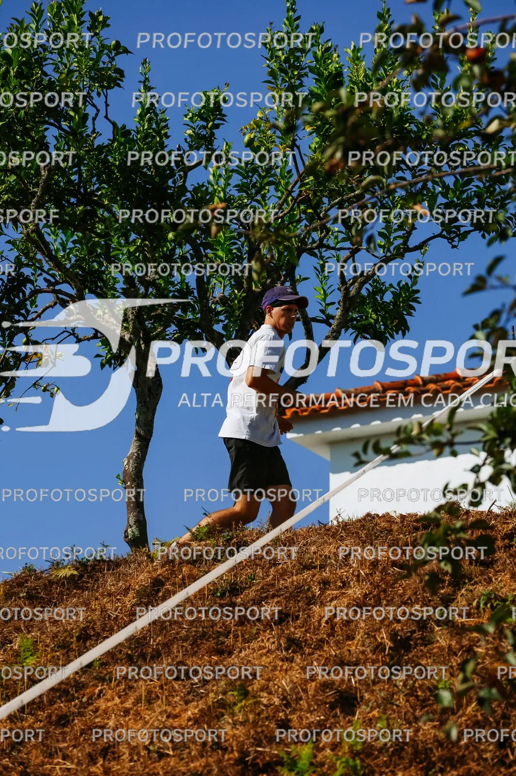 Preview 31
