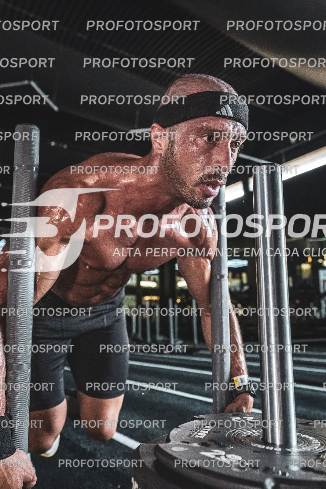 Preview 31