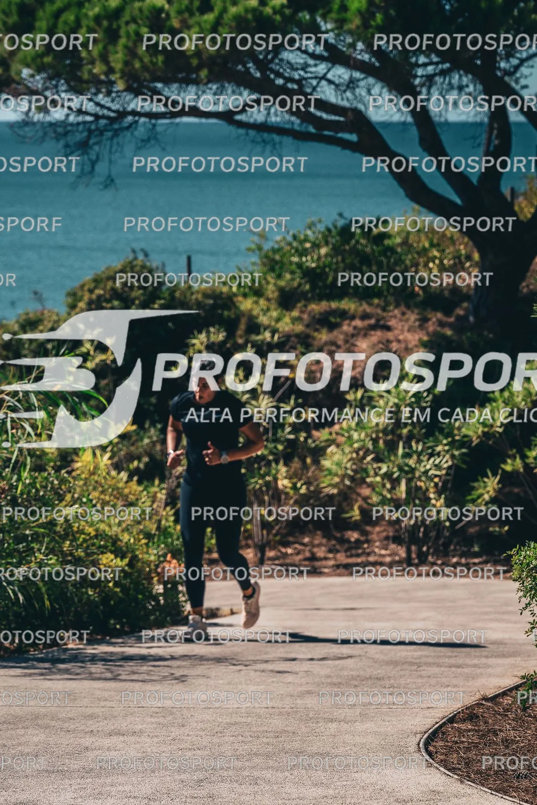 Preview 26